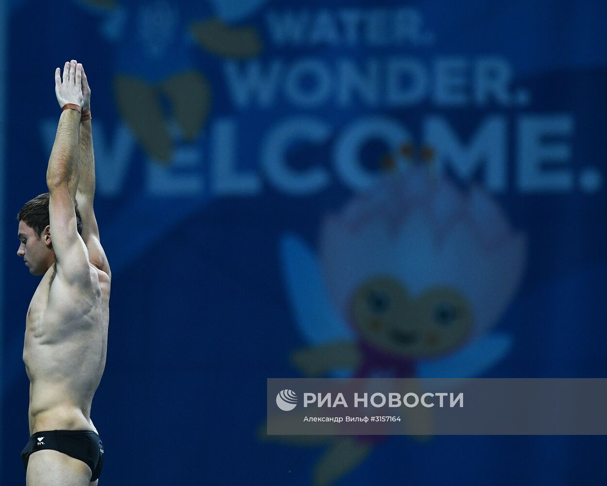 Чемпионат мира FINA 2017. Прыжки в воду. Мужчины. Вышка 10 м. Финал
