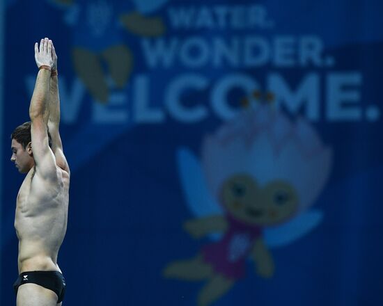 Чемпионат мира FINA 2017. Прыжки в воду. Мужчины. Вышка 10 м. Финал