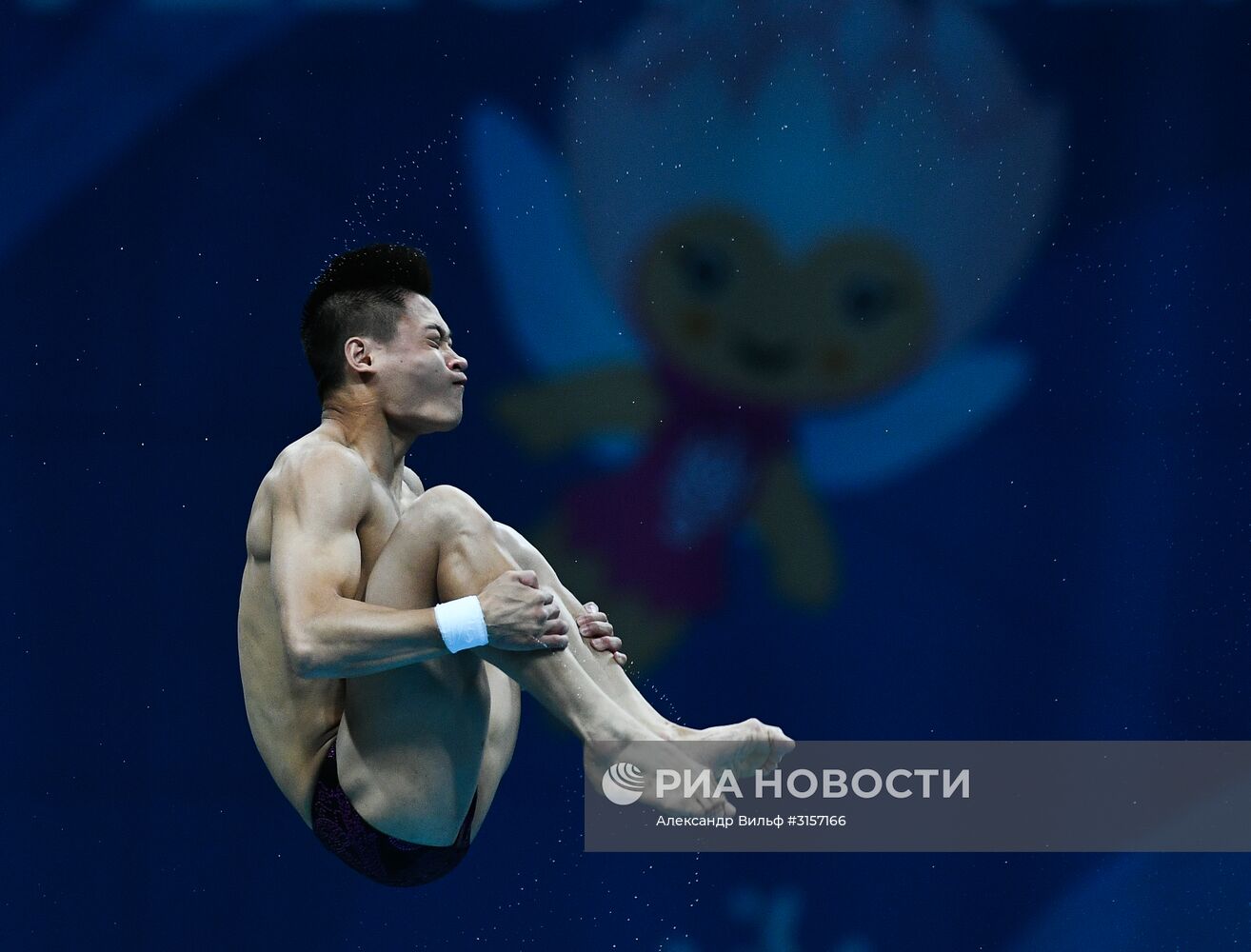 Чемпионат мира FINA 2017. Прыжки в воду. Мужчины. Вышка 10 м. Финал
