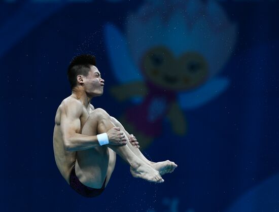 Чемпионат мира FINA 2017. Прыжки в воду. Мужчины. Вышка 10 м. Финал