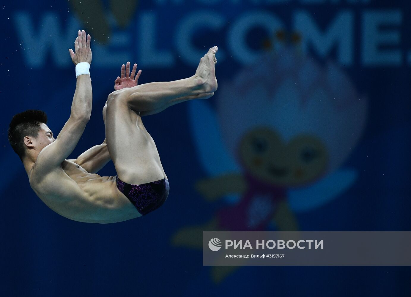 Чемпионат мира FINA 2017. Прыжки в воду. Мужчины. Вышка 10 м. Финал