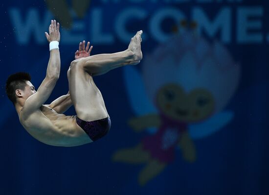 Чемпионат мира FINA 2017. Прыжки в воду. Мужчины. Вышка 10 м. Финал