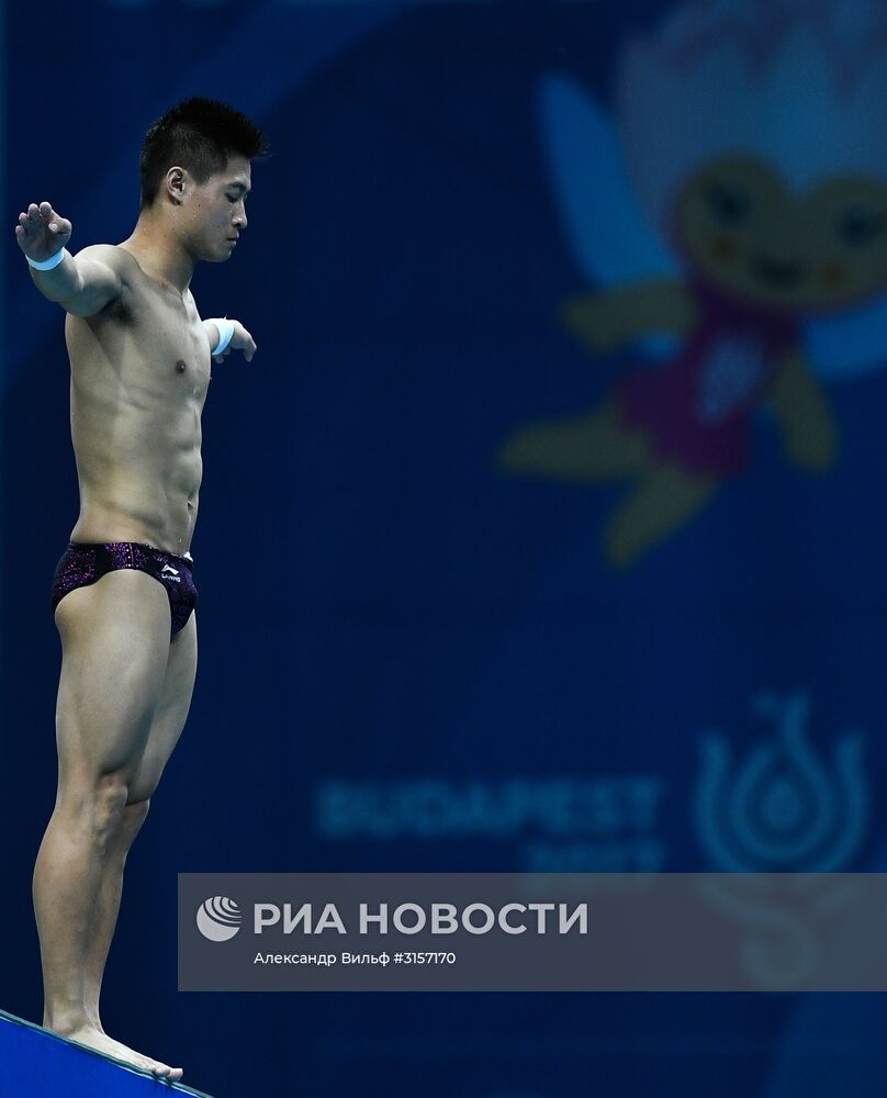 Чемпионат мира FINA 2017. Прыжки в воду. Мужчины. Вышка 10 м. Финал