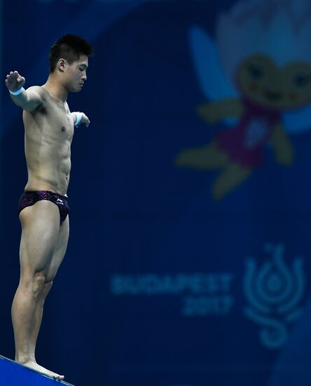 Чемпионат мира FINA 2017. Прыжки в воду. Мужчины. Вышка 10 м. Финал