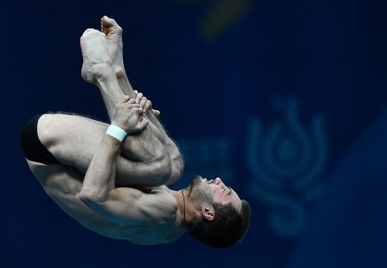 Чемпионат мира FINA 2017. Прыжки в воду. Мужчины. Вышка 10 м. Финал