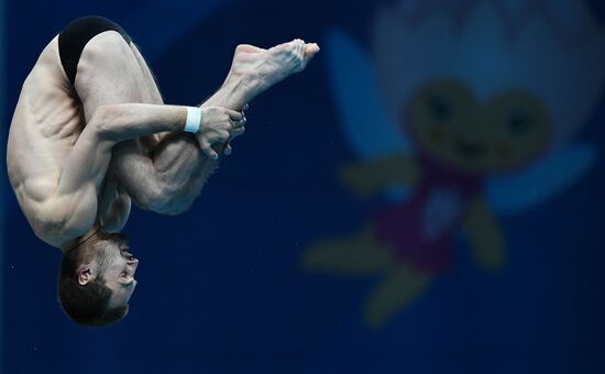 Чемпионат мира FINA 2017. Прыжки в воду. Мужчины. Вышка 10 м. Финал