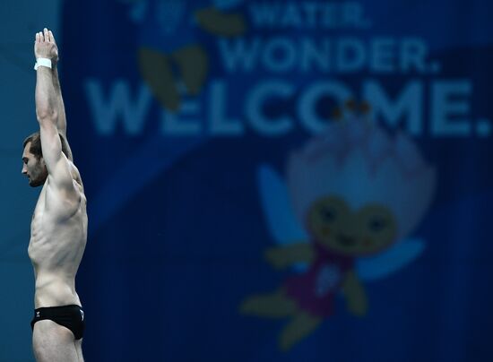 Чемпионат мира FINA 2017. Прыжки в воду. Мужчины. Вышка 10 м. Финал