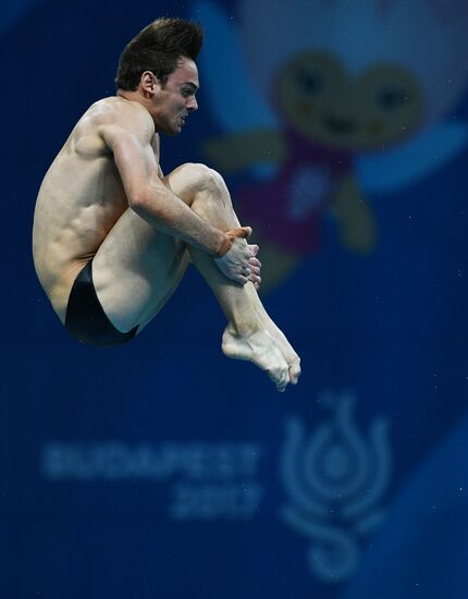 Чемпионат мира FINA 2017. Прыжки в воду. Мужчины. Вышка 10 м. Финал