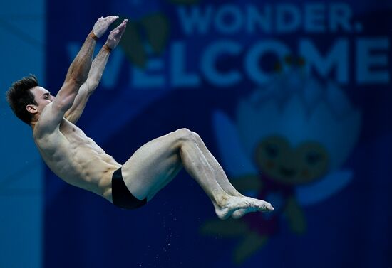 Чемпионат мира FINA 2017. Прыжки в воду. Мужчины. Вышка 10 м. Финал