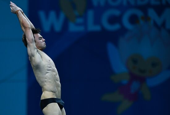 Чемпионат мира FINA 2017. Прыжки в воду. Мужчины. Вышка 10 м. Финал