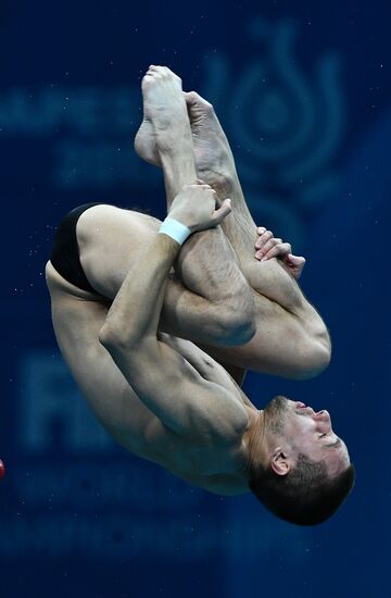 Чемпионат мира FINA 2017. Прыжки в воду. Мужчины. Вышка 10 м. Финал