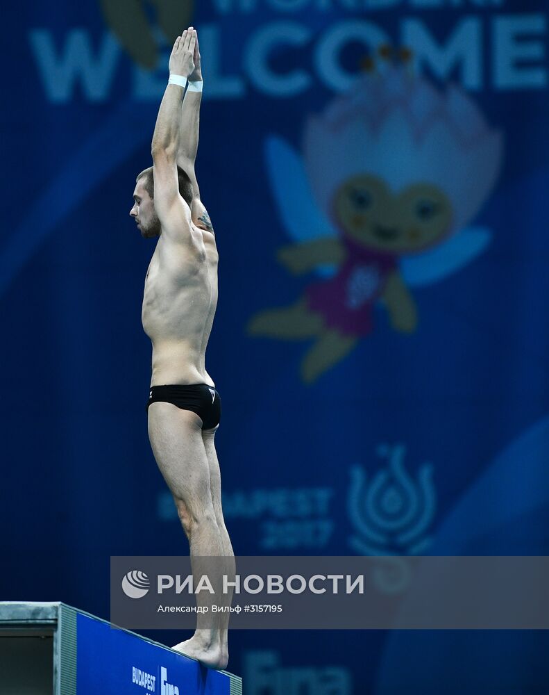 Чемпионат мира FINA 2017. Прыжки в воду. Мужчины. Вышка 10 м. Финал