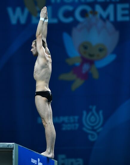Чемпионат мира FINA 2017. Прыжки в воду. Мужчины. Вышка 10 м. Финал