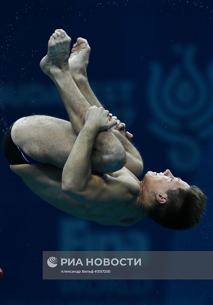 Чемпионат мира FINA 2017. Прыжки в воду. Мужчины. Вышка 10 м. Финал
