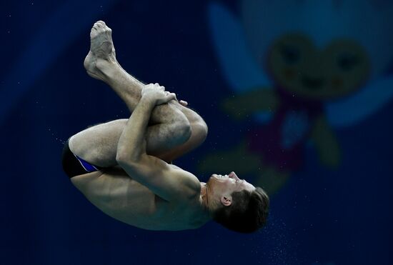 Чемпионат мира FINA 2017. Прыжки в воду. Мужчины. Вышка 10 м. Финал