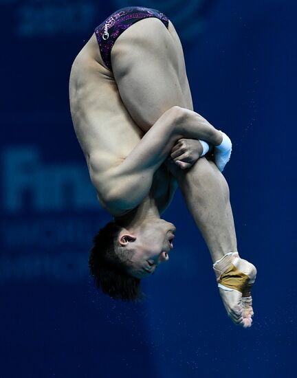 Чемпионат мира FINA 2017. Прыжки в воду. Мужчины. Вышка 10 м. Финал
