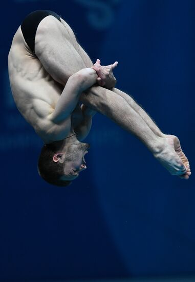 Чемпионат мира FINA 2017. Прыжки в воду. Мужчины. Вышка 10 м. Финал