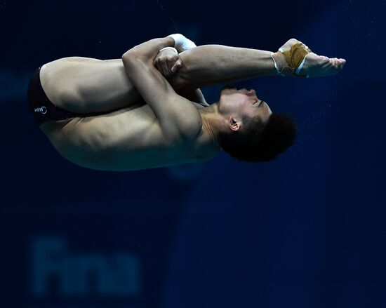 Чемпионат мира FINA 2017. Прыжки в воду. Мужчины. Вышка 10 м. Финал
