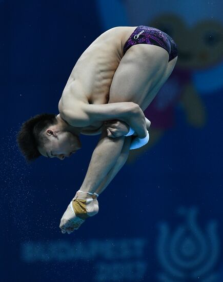 Чемпионат мира FINA 2017. Прыжки в воду. Мужчины. Вышка 10 м. Финал