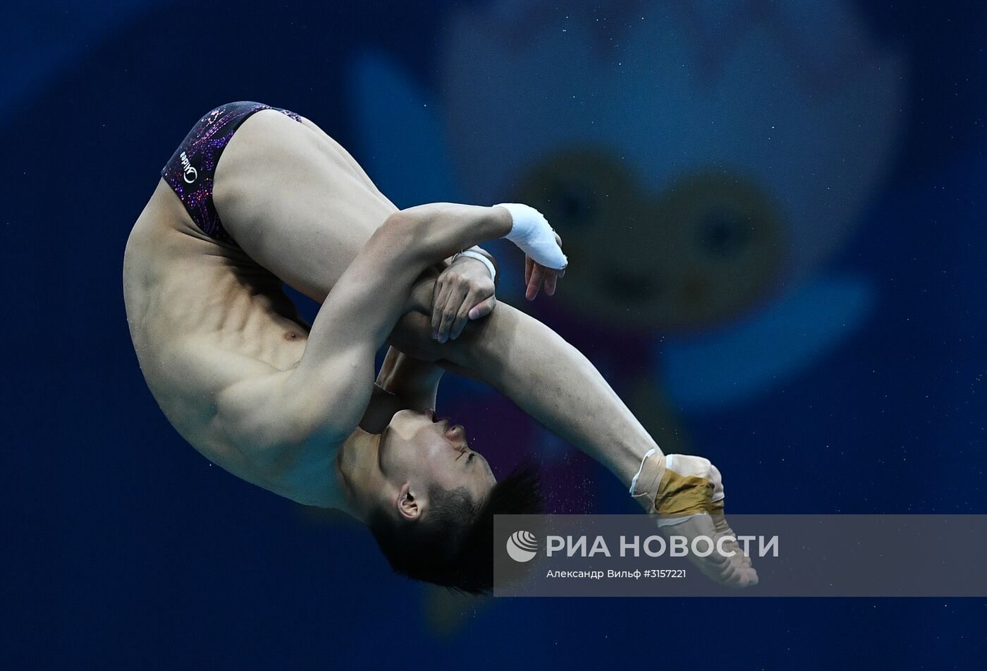 Чемпионат мира FINA 2017. Прыжки в воду. Мужчины. Вышка 10 м. Финал