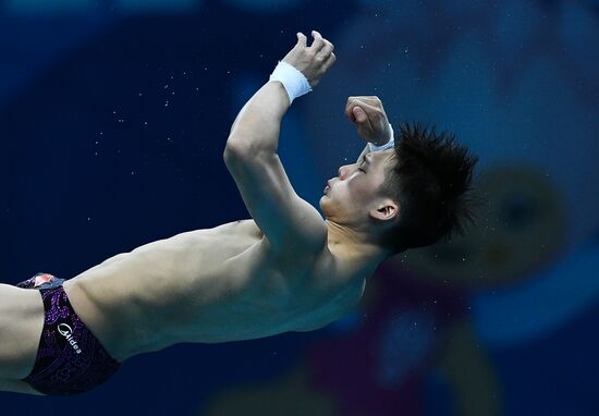 Чемпионат мира FINA 2017. Прыжки в воду. Мужчины. Вышка 10 м. Финал