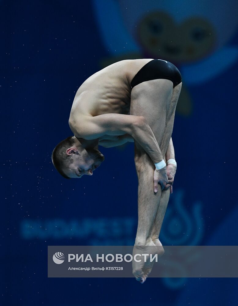 Чемпионат мира FINA 2017. Прыжки в воду. Мужчины. Вышка 10 м. Финал