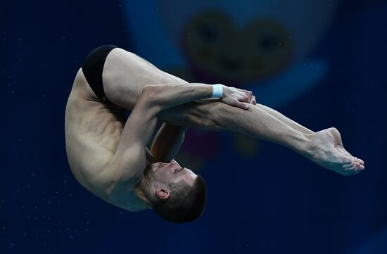 Чемпионат мира FINA 2017. Прыжки в воду. Мужчины. Вышка 10 м. Финал