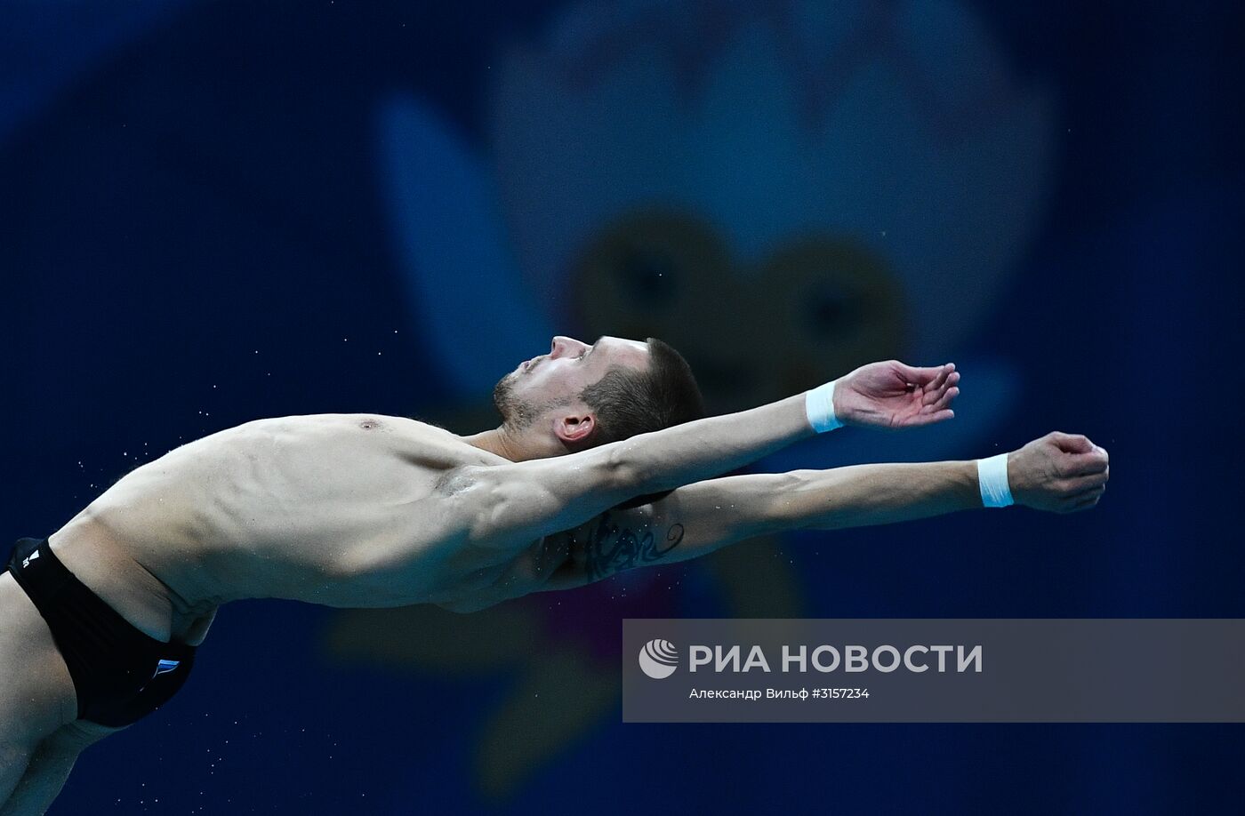 Чемпионат мира FINA 2017. Прыжки в воду. Мужчины. Вышка 10 м. Финал