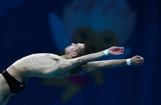 Чемпионат мира FINA 2017. Прыжки в воду. Мужчины. Вышка 10 м. Финал