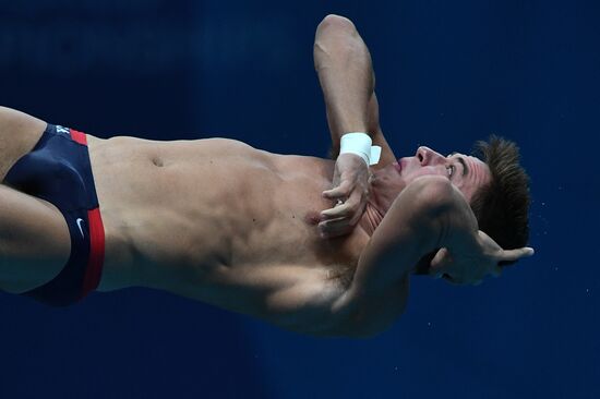 Чемпионат мира FINA 2017. Прыжки в воду. Мужчины. Вышка 10 м. Финал