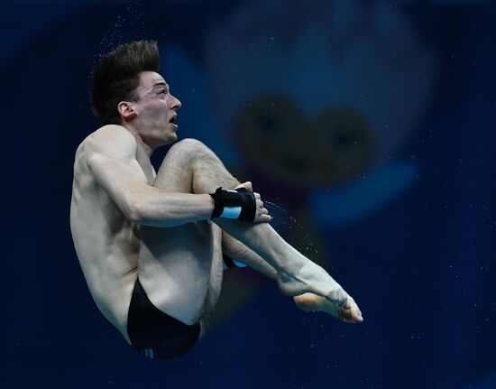 Чемпионат мира FINA 2017. Прыжки в воду. Мужчины. Вышка 10 м. Финал
