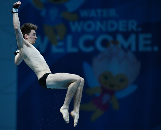Чемпионат мира FINA 2017. Прыжки в воду. Мужчины. Вышка 10 м. Финал