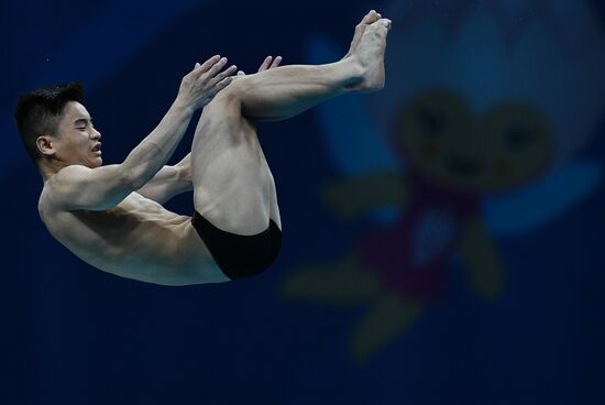 Чемпионат мира FINA 2017. Прыжки в воду. Мужчины. Вышка 10 м. Финал