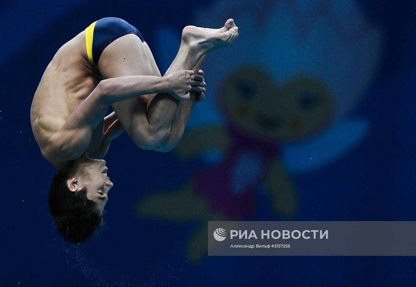 Чемпионат мира FINA 2017. Прыжки в воду. Мужчины. Вышка 10 м. Финал
