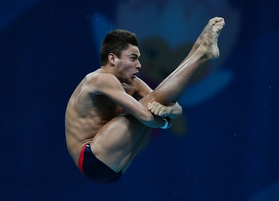 Чемпионат мира FINA 2017. Прыжки в воду. Мужчины. Вышка 10 м. Финал