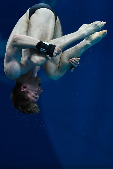 Чемпионат мира FINA 2017. Прыжки в воду. Мужчины. Вышка 10 м. Финал