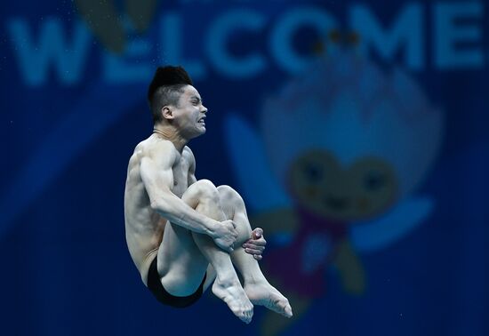 Чемпионат мира FINA 2017. Прыжки в воду. Мужчины. Вышка 10 м. Финал