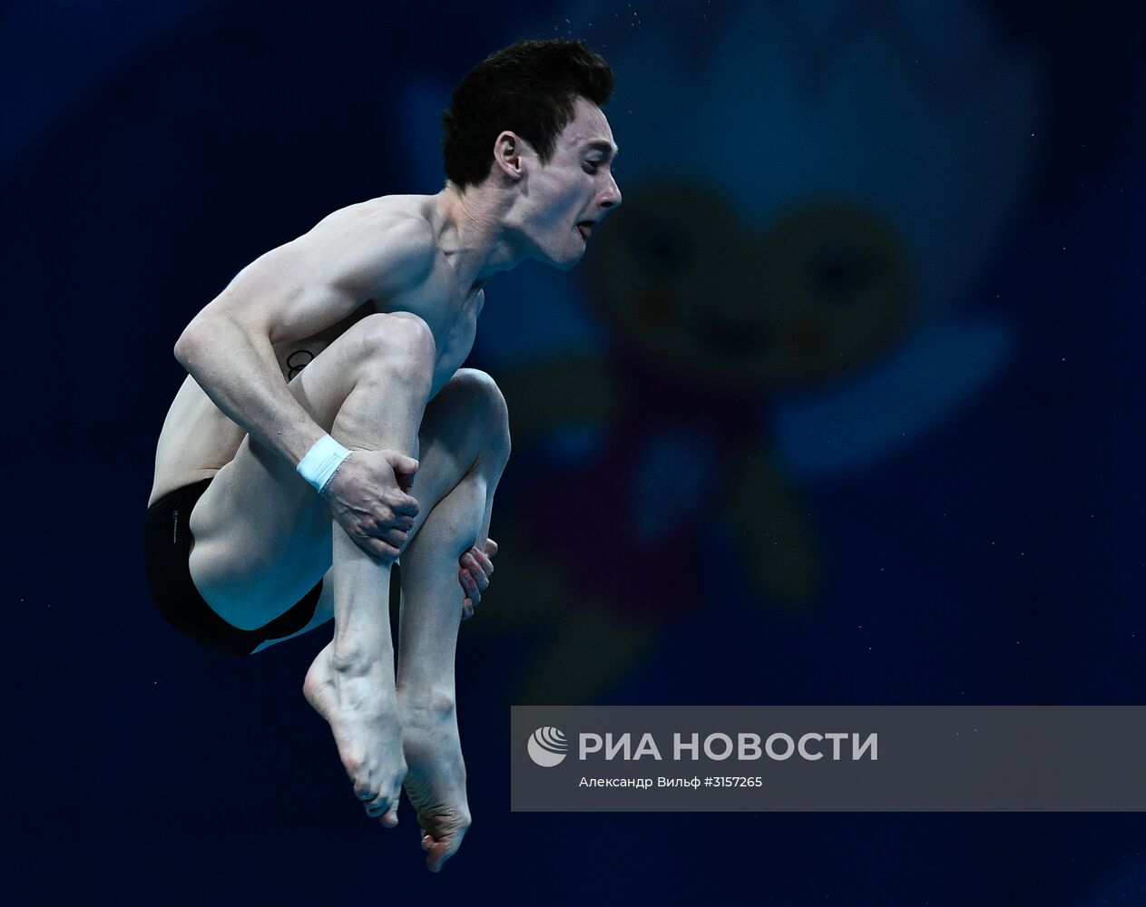 Чемпионат мира FINA 2017. Прыжки в воду. Мужчины. Вышка 10 м. Финал