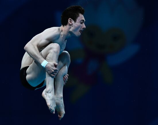 Чемпионат мира FINA 2017. Прыжки в воду. Мужчины. Вышка 10 м. Финал