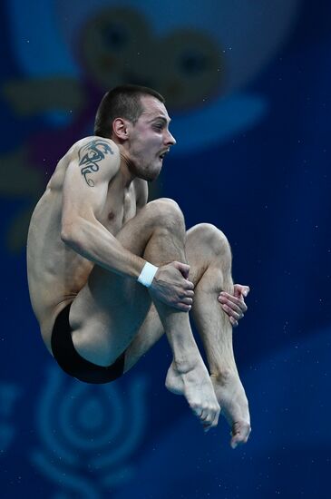 Чемпионат мира FINA 2017. Прыжки в воду. Мужчины. Вышка 10 м. Финал