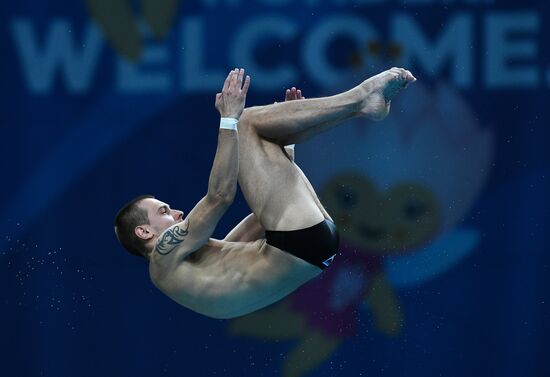 Чемпионат мира FINA 2017. Прыжки в воду. Мужчины. Вышка 10 м. Финал