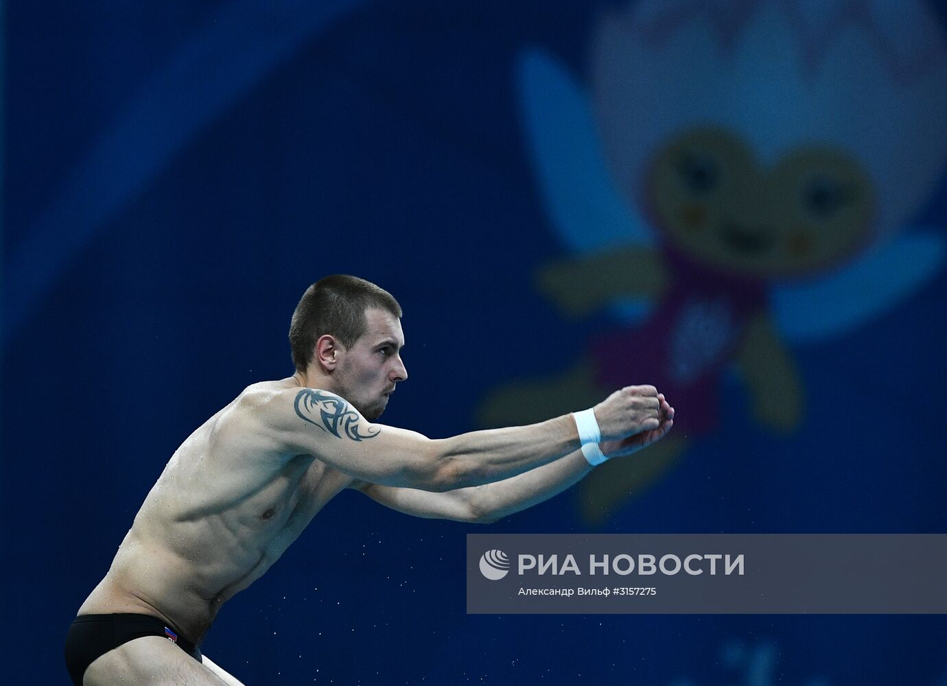 Чемпионат мира FINA 2017. Прыжки в воду. Мужчины. Вышка 10 м. Финал