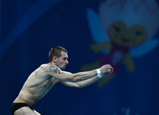 Чемпионат мира FINA 2017. Прыжки в воду. Мужчины. Вышка 10 м. Финал
