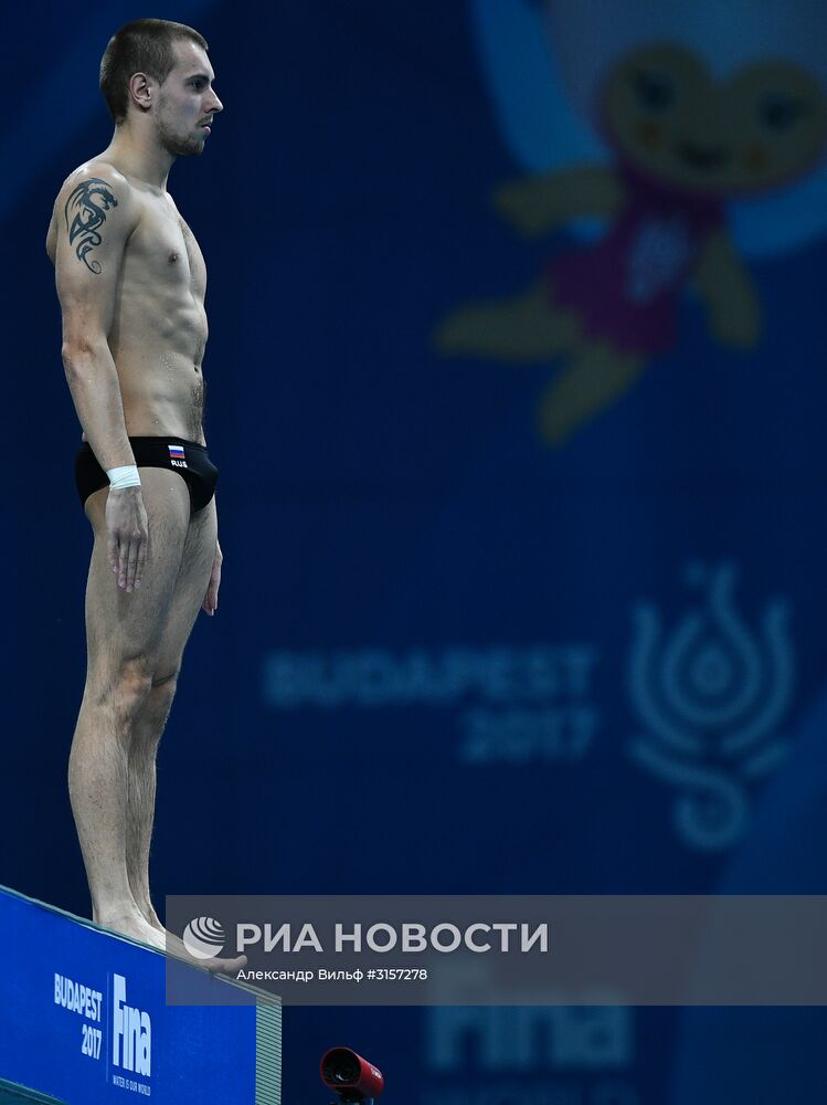 Чемпионат мира FINA 2017. Прыжки в воду. Мужчины. Вышка 10 м. Финал