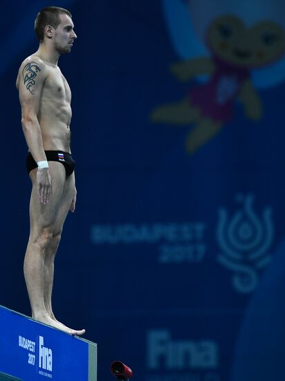 Чемпионат мира FINA 2017. Прыжки в воду. Мужчины. Вышка 10 м. Финал