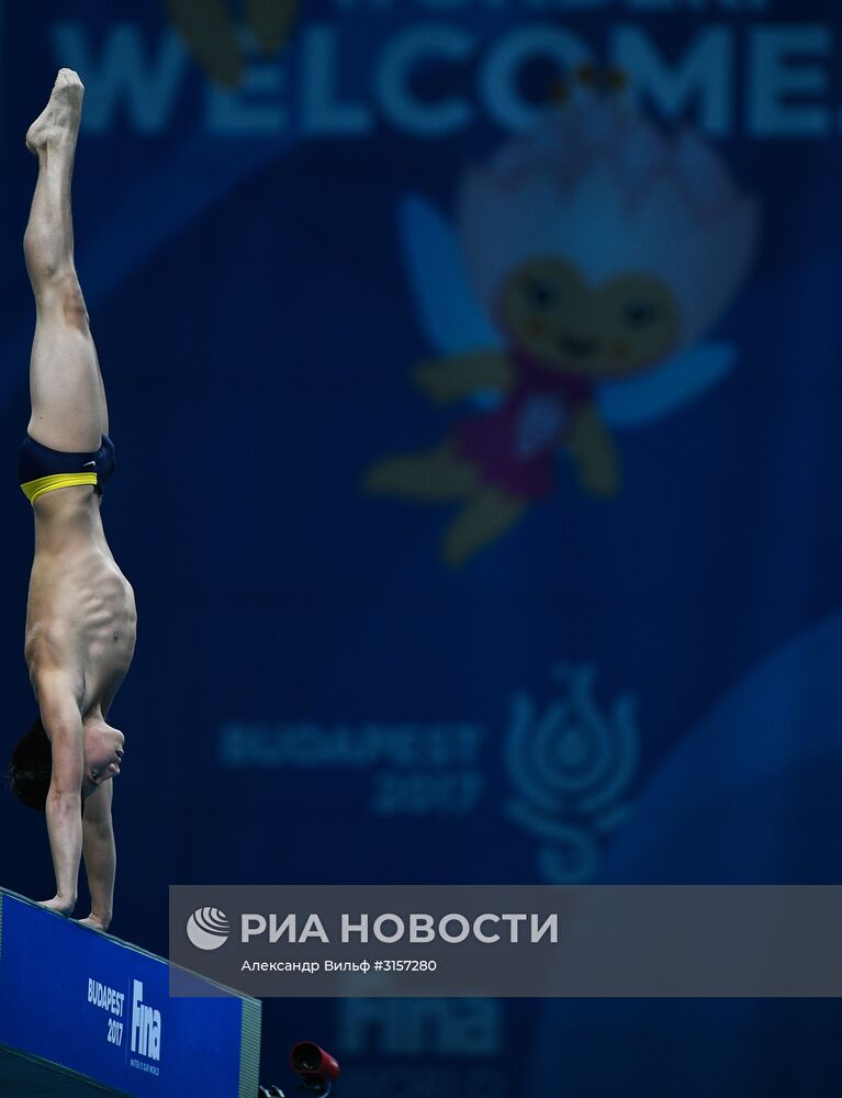 Чемпионат мира FINA 2017. Прыжки в воду. Мужчины. Вышка 10 м. Финал