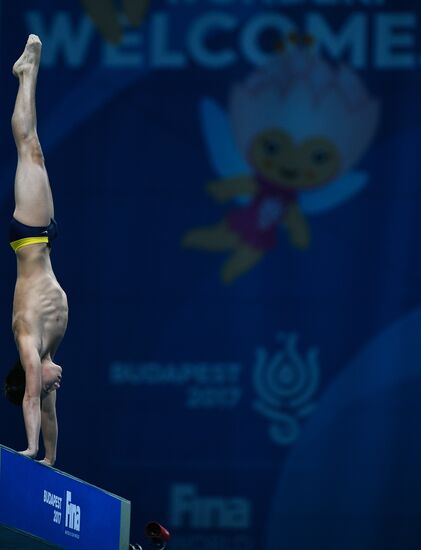 Чемпионат мира FINA 2017. Прыжки в воду. Мужчины. Вышка 10 м. Финал