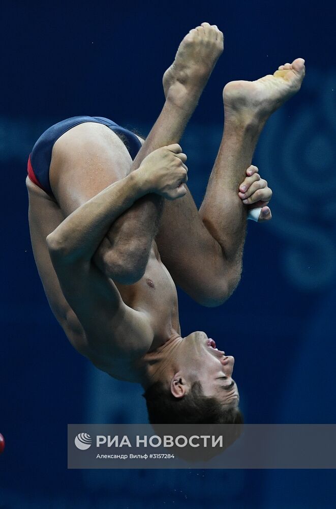 Чемпионат мира FINA 2017. Прыжки в воду. Мужчины. Вышка 10 м. Финал