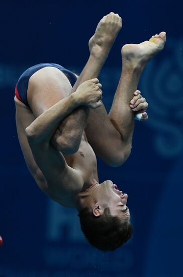 Чемпионат мира FINA 2017. Прыжки в воду. Мужчины. Вышка 10 м. Финал