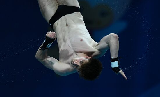 Чемпионат мира FINA 2017. Прыжки в воду. Мужчины. Вышка 10 м. Финал